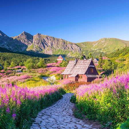 Prazdninove Byty U Kamarata Habovka Dış mekan fotoğraf