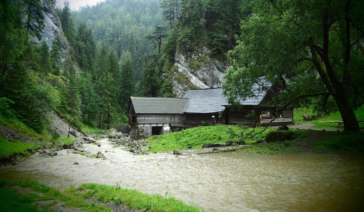 Prazdninove Byty U Kamarata Habovka Dış mekan fotoğraf