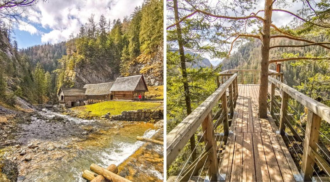 Prazdninove Byty U Kamarata Habovka Dış mekan fotoğraf
