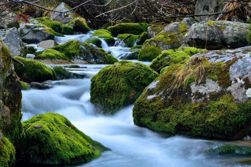 Prazdninove Byty U Kamarata Habovka Dış mekan fotoğraf
