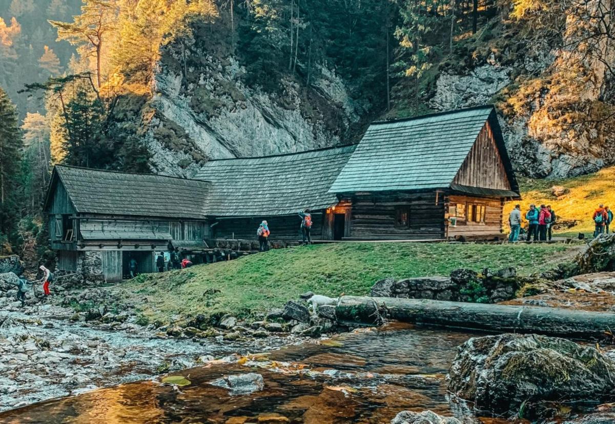 Prazdninove Byty U Kamarata Habovka Dış mekan fotoğraf